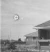 thumbUFO1963.jpg